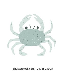 Blue crab isolated on white background. Marine creature and underwater crustacean. Vector hand drawn illustration.