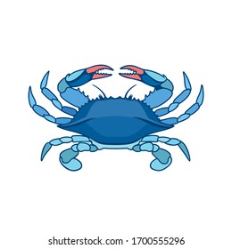 Blue Crab on a white background in watercolor style. Realistic, artistic, colored drawing of a blue crab. Vector illustration.