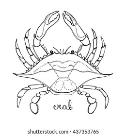 Blue Crab. Seafood Design Elements. Seafood Menu, Poster, Label Etc. Hand Drawn Ink Sketch Illustration. Vector Illustration