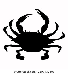 Blue crab shadow isolated on white background. Seafood shop logo, signboard, restaurant menu, fish market, banner, poster design template. 