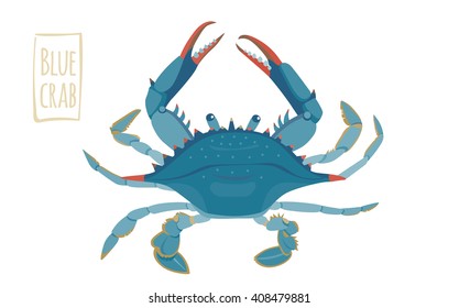 Blue crab, vector cartoon illustration