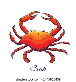 blue crab vector. engraved colored vector crab in vintage style. outline illustration, hand drawn boiled crab. red sea animal with claws.Hand drawn colored seafood illustration. seafood design element