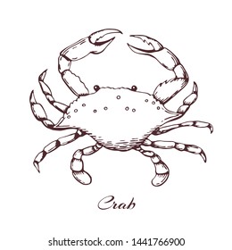 blue crab vector. seafood design element. sea animal with claws. engraved vintage vector crab. outline illustration, hand drawn crab. Hand drawn monochrome seafood illustration.