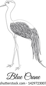 Blue crane vector outline illustration