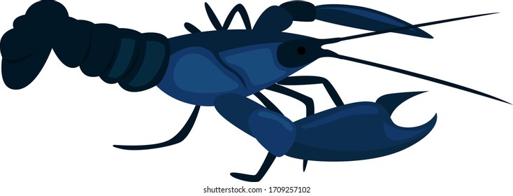 Blue crayfish, illustration, vector on white background