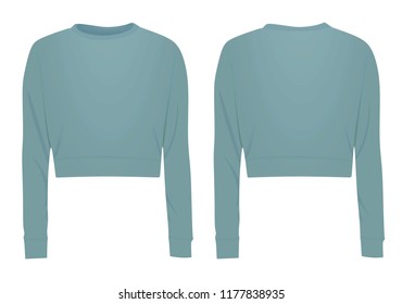 Blue  crop sweater. vector illustration