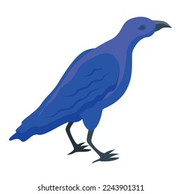 Blue crow icon isometric vector. Raven bird. Fly nature