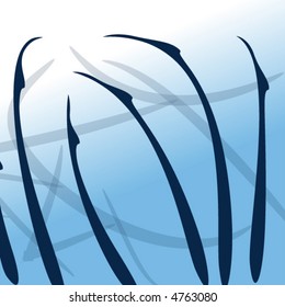 blue curls - vector -