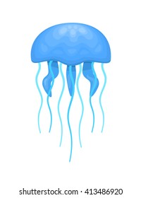 blue and cyan jellyfish