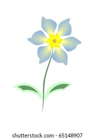 Blue daisy