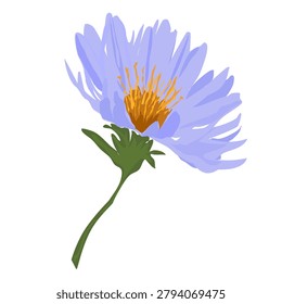 Blue daisy, realistic drawing in flat style, chamomile