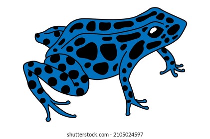 ilustración vectorial de la rana darda azul aislada en fondo blanco