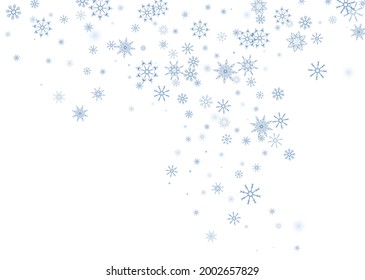 Los delicados copos de nieve azul a cielo abierto se dispersan sobre un fondo blanco. Fondo festivo, diseño postal, papel tapiz