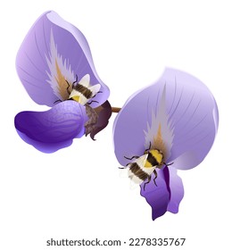 Blue delicate orchid flowers with a bee that collects nectar, element for design, illustrations