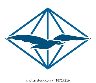 blue diamond seagull bird flying animal fauna image vector