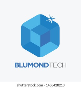 Blue Diamond Technology Logo Template