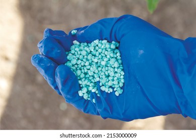 Blue different shape chemical fertilizer granules in human's hand.