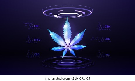 Blue digital hologram of hemp leaf with chemical formulas of natural cannabinoids and digital rings in dark room