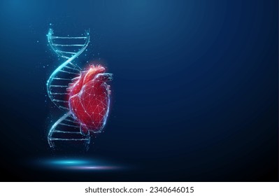 Blue DNA molecule helix with red human heart. Hereditary heart diseases, diagnosis of genetic diseases concept. Gene editing, biotechnology engineering. Low poly style Wireframe light structure Vector