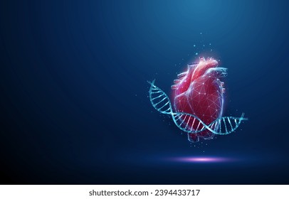 Blue DNA molecule helix with red human heart. Hereditary heart diseases, diagnosis of genetic diseases concept. Gene editing, biotechnology engineering.  Wireframe light structure Vector