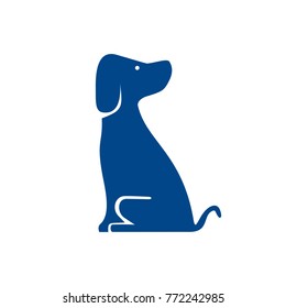 blue dog sitting