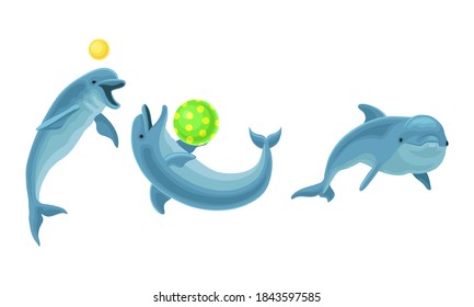 Blue Dolphin as Aquatic Mammal with Streamlined Body and Flippers Vector Set