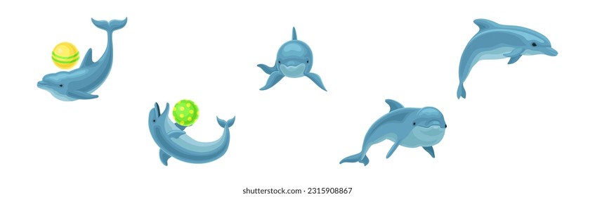 Blue Dolphin as Aquatic Mammal with Streamlined Body and Flippers Playing Ball Vector Set