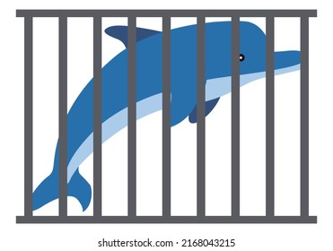 Blue dolphin in captivity behind a cage.