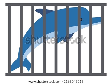Blue dolphin in captivity behind a cage.