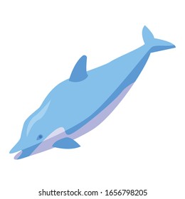 Blue dolphin icon. Isometric of blue dolphin vector icon for web design isolated on white background