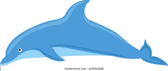 Blue dolphin, illustration, vector on white background.