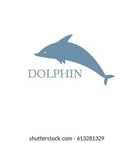 Blue dolphin with text on the white background