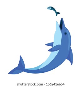 Blue dolphin vector icon.Cartoon vector icon isolated on white background blue dolphin .