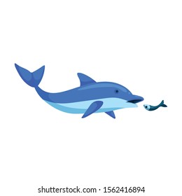 Blue dolphin vector icon.Cartoon vector icon isolated on white background blue dolphin .