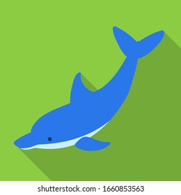 Blue dolphin vector icon.Flat vector icon isolated on white background blue dolphin .