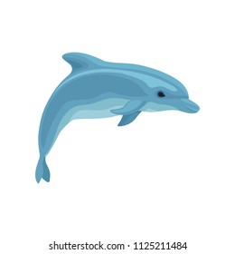 Blue dolphin vector Illustration on a white background