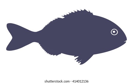 Blue dorado fish isolated on white background. Vector Illustration