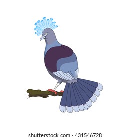 blue dove