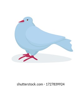 blue dove white background vector 