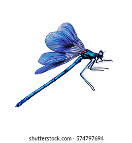 Blue Dragonfly Flying Color Vector Illustration