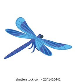 Blue dragonfly icon isometric vector. Wing dragon. Summer bug