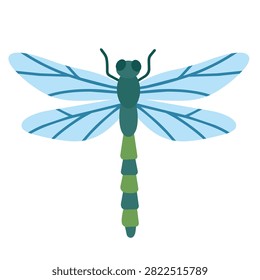 Blue dragonfly insect vector illustration. Flat cartoon damselfly bug, lake nature fauna isolated design element