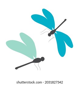 Blue dragonfly isolated on white background. Cute insects. Vector.