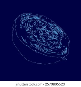 Blue drawing of a cabbage. The drawing is abstract and has a surreal feel to it