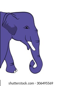 blue elephant vector