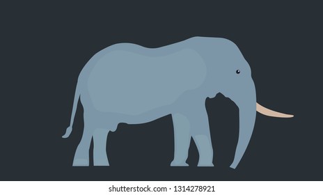 Blue Elephant vector eps 10 template.