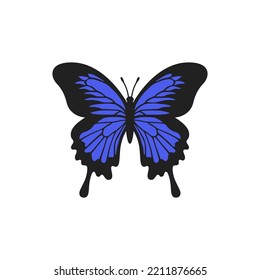 Blue Emperor butterfly illustration. Realistic butterfly with textured wings. Beautiful butterfly for scrapbooking. Vector illustration