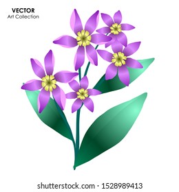 Blue Eye Grass Flower Isolate, Vector illustration design element