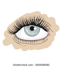 Ojo azul sobre un fondo blanco. El ojo de la mujer. maquillaje de ojos. Gráficos. Icono, logotipo. Ilustración vectorial aislada.