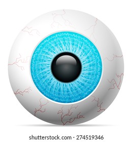 Blue eye on a white background.